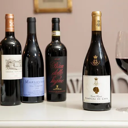 Schackenborg Slotskro Locanda